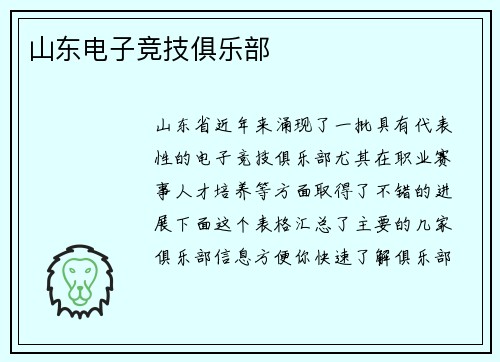 山东电子竞技俱乐部